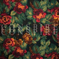 CITY OF INDUSTRY | Conspire Conspire Conspire<BR> 12" Vinyl LP (2019)