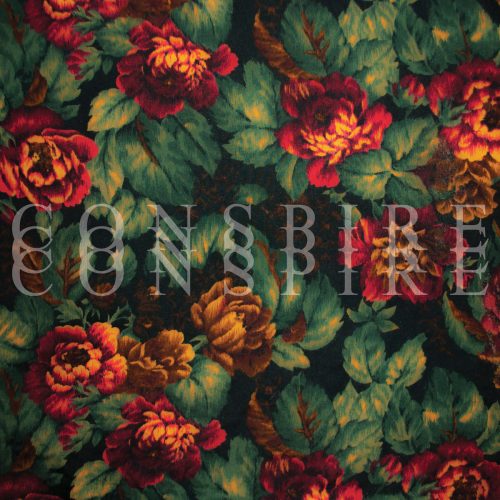 CITY OF INDUSTRY | Conspire Conspire Conspire<BR> 12" Vinyl LP (2019)