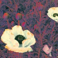 THE GREEN PAJAMAS | Sunlight Might Weigh Even More<br>CD (2021)