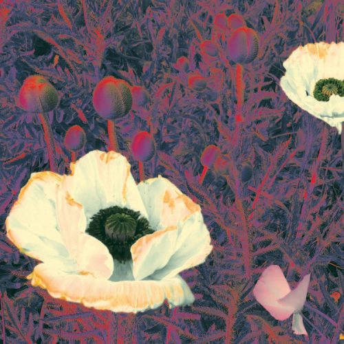THE GREEN PAJAMAS | Sunlight Might Weigh Even More<br>CD (2021)
