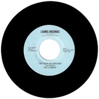 JIM LETTEW | My Ship Of Dreams / A Pair Of Broken Hearts<br>7" Vinyl Single (1970)