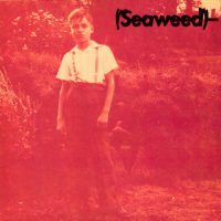 SEAWEED | Bill / Pumpkin<br> 7" Turquoise Vinyl Single (1992)