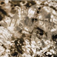 TWIN SHADOW | Forget<br> CD (2010)