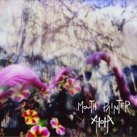 XXX NEWMOUTH PAINTER | Aloha<br> 12" Vinyl LP (2018)
