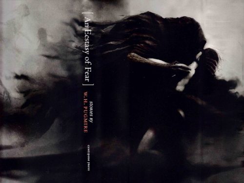 AN ECSTACY OF FEAR<BR> By Wilum Hopfrog Pugmire<br> Limited First Edition (2019) - Image 3