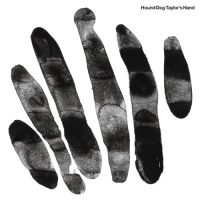 HOUND DOG TAYLOR'S HAND | Hound Dog Taylor's Hand<BR> 12" Vinyl LP (2016)