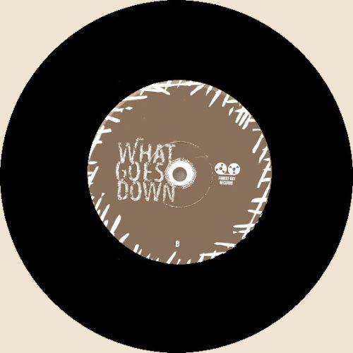 FOREST RAY | What Goes Down<BR> LASSO SPELLS | HighTide<br> 7" Vinyl Split Single - Image 3