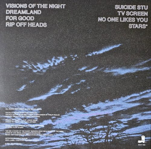 THE VELVET SWING | Visions Of The Night<br> 12" Vinyl LP (2023) - Image 2