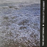 THE VELVET SWING | Visions Of The Night<br> 12" Vinyl LP (2023)