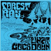 FOREST RAY | What Goes Down<BR> LASSO SPELLS | HighTide<br> 7" Vinyl Split Single