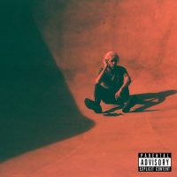 DANNY DENIAL | Fuck Danny Denial<br> 12" Vinyl LP (2020)