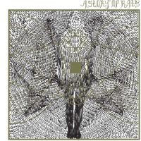 xxx A STORY OF RATS | Thought Forms<br> Fog Gray Vinyl 12" EP (2011)