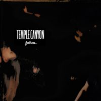 TEMPLE CANYON | Fortress<br> 12" Vinyl LP (2019)