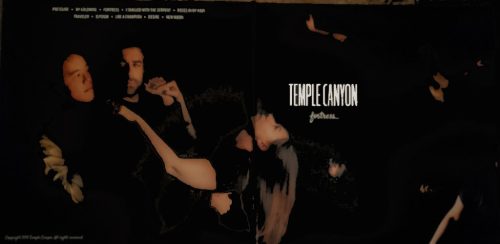 TEMPLE CANYON | Fortress<br> 12" Vinyl LP (2019) - Image 2