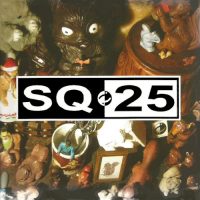xxx THE SQUIRRELS<BR> SQ25<BR> CD (2009)