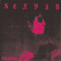 SEX VID<br> Nests | Exorcism | Always Home<br> 7" Vinyl EP (2008)