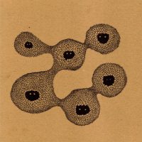 xxx FIRS OF PREY<BR> Keep The Lions Asleep<br> Single Sided/Etched 12" Vinyl EP (2009)