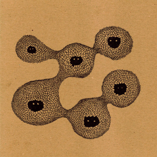 xxx FIRS OF PREY<BR> Keep The Lions Asleep<br> Single Sided/Etched 12" Vinyl EP (2009)