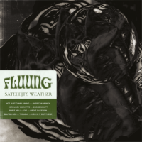 FLUUNG<br> Satellite Weather<br> 12" Vinyl LP (2023)