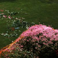 xxx PRIM<br>Move Too Slow<br> 12" Foilage Green Vinyl LP (2024)