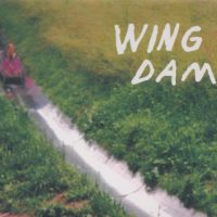 xxx WING DAM<BR> Glow Ahead<br> CD (2016)