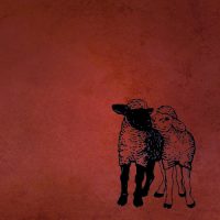 XXXTHE QUIET ONES<BR> Better Walk Than Ride Like That<br> 12" Vinyl LP (2008)