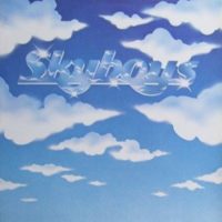 xxx SKYBOYS<BR> Skyboys<br> 12" Vinyl LP (1979)
